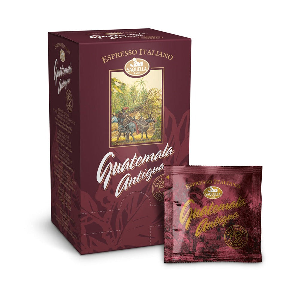 Saquella Guatemala Antigua pods ESE